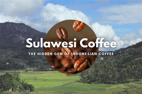 indonesia sulawesi coffee